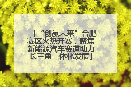 “创赢未来”合肥赛区火热开赛，聚焦新能源汽车赛道助力长三角一体化发展
